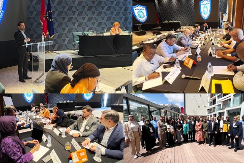 2025-May Collage NESA-IEMed-Africom-w