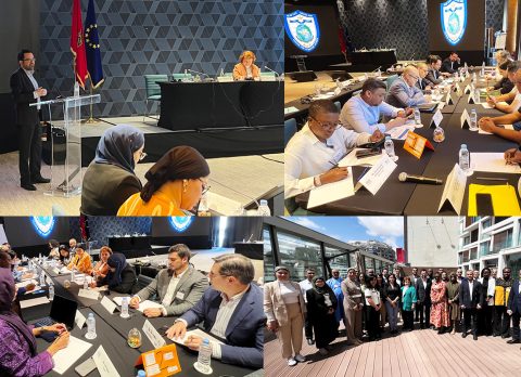2025-May Collage NESA-IEMed-Africom-w